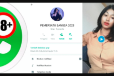 Link Grup WA Pemersatu Bangsa 18 Viral 2023 (Belum Penuh)