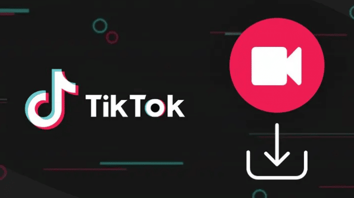 Link Download TikTok No Watermark Apk Terbaru 100% Work