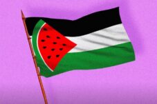 jadi simbol perlawanan palestina semangka ternyata buah kesukaan nabi muhammad d44jAFXbdm
