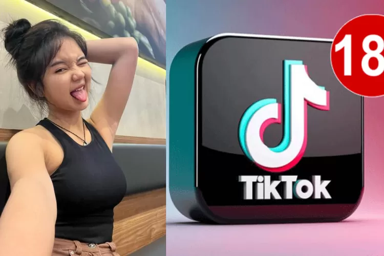 Tiktok 18 1.3 6 Apk Download versi Terbaru 2024