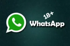 Link Grup Whatsapp BO Terbaru 2024 Yang Masih Aktif