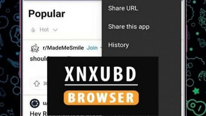 Cara Download Xnxubd VPN Browser pada Video Chrome Terbaru Indonesia