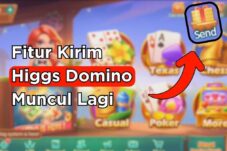 Higgs Domino Island Tombol Kirim Kembali (Link Download)